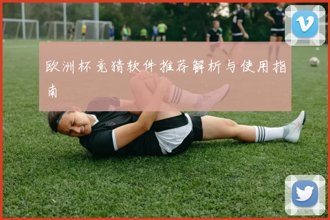 欧洲杯竞猜软件推荐解析与使用指南