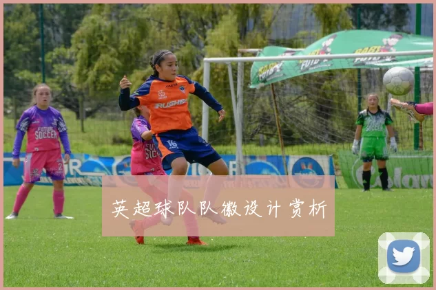 英超球队队徽设计赏析