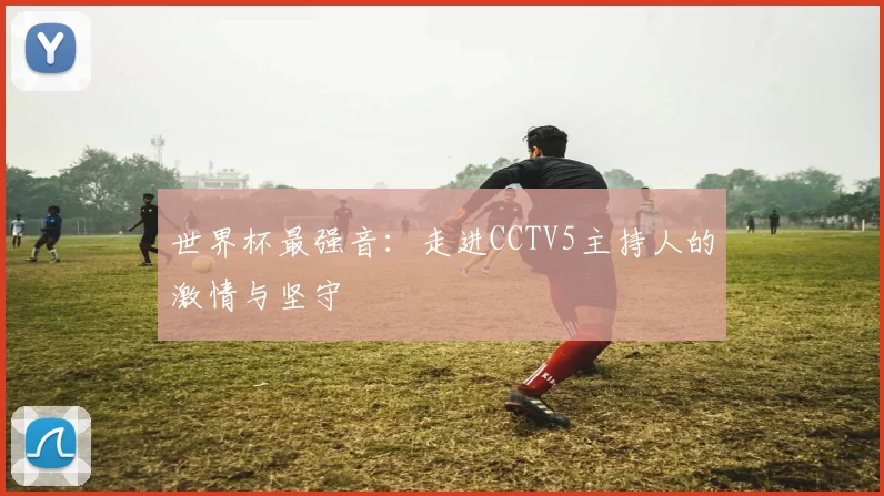 世界杯最强音：走进CCTV5主持人的激情与坚守