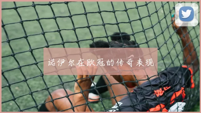 诺伊尔在欧冠的传奇表现