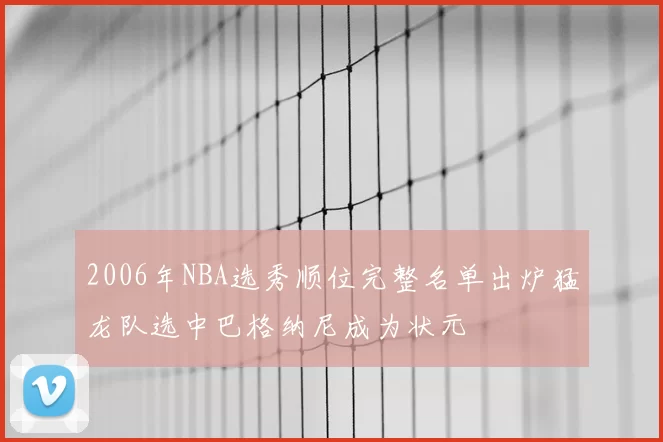 2006年NBA选秀顺位完整名单出炉猛龙队选中巴格纳尼成为状元