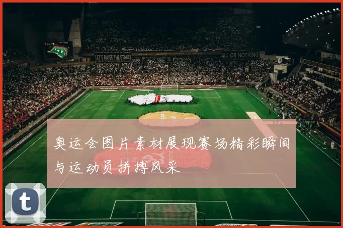 奥运会图片素材展现赛场精彩瞬间与运动员拼搏风采