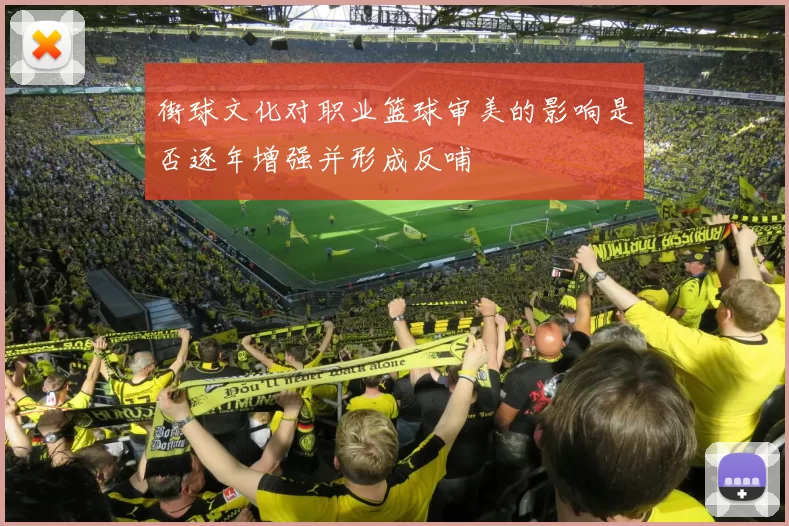 街球文化对职业篮球审美的影响是否逐年增强并形成反哺