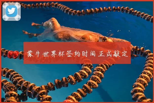 蒙牛世界杯签约时间正式敲定