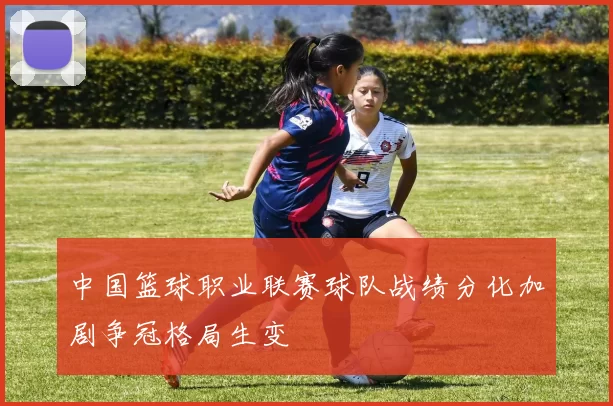 中国篮球职业联赛球队战绩分化加剧争冠格局生变