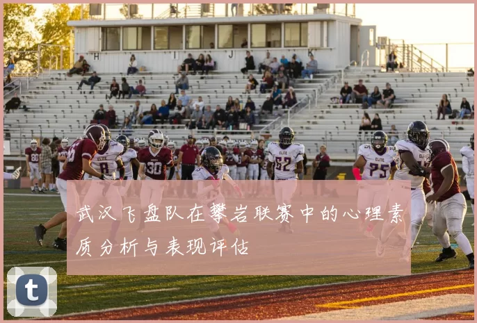 武汉飞盘队在攀岩联赛中的心理素质分析与表现评估