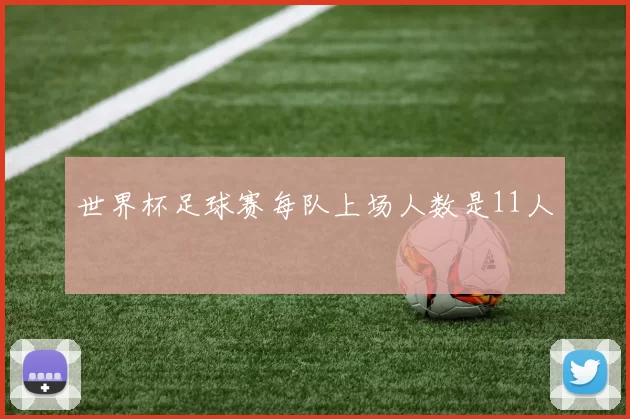 世界杯足球赛每队上场人数是11人
