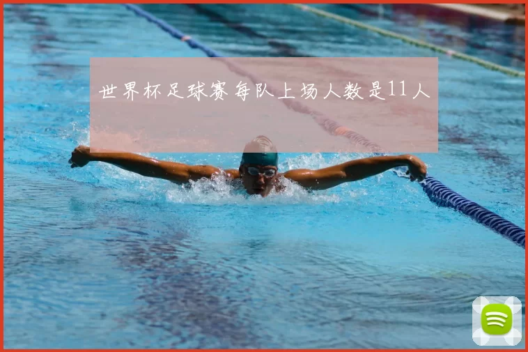 世界杯足球赛每队上场人数是11人