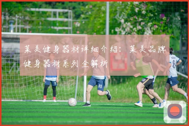 莱美健身器材详细介绍:莱美品牌健身器材系列全解析