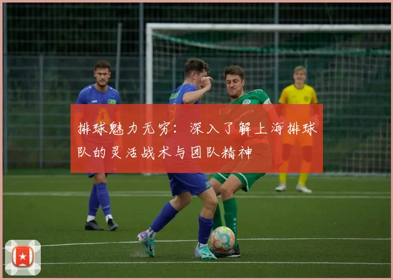 排球魅力无穷:深入了解上海排球队的灵活战术与团队精神