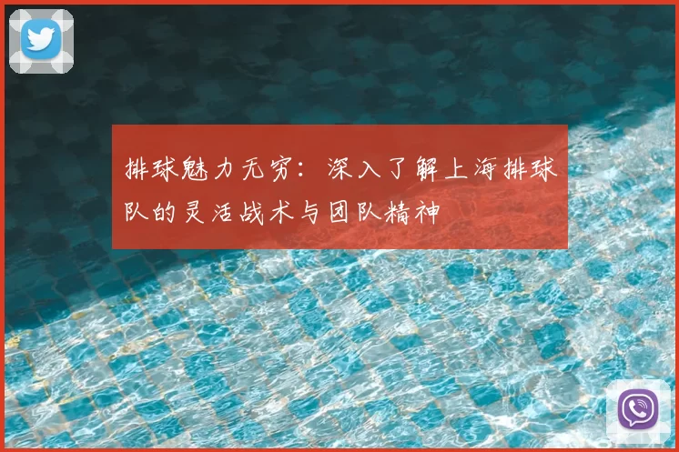排球魅力无穷：深入了解上海排球队的灵活战术与团队精神