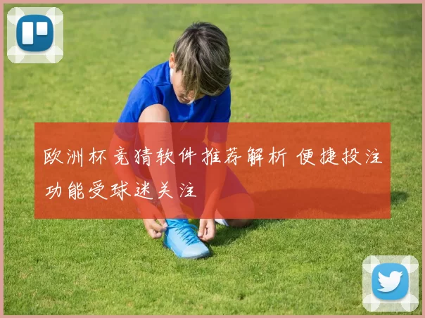 欧洲杯竞猜软件推荐解析 便捷投注功能受球迷关注