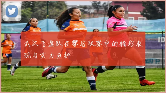 武汉飞盘队在攀岩联赛中的精彩表现与实力分析