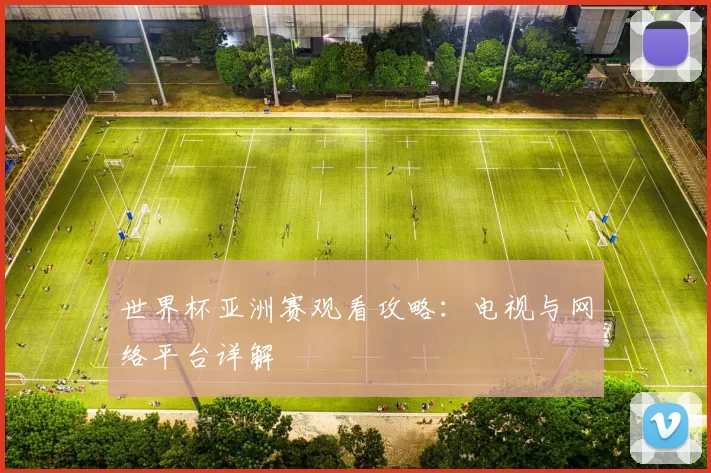 世界杯亚洲赛观看攻略:电视与网络平台详解