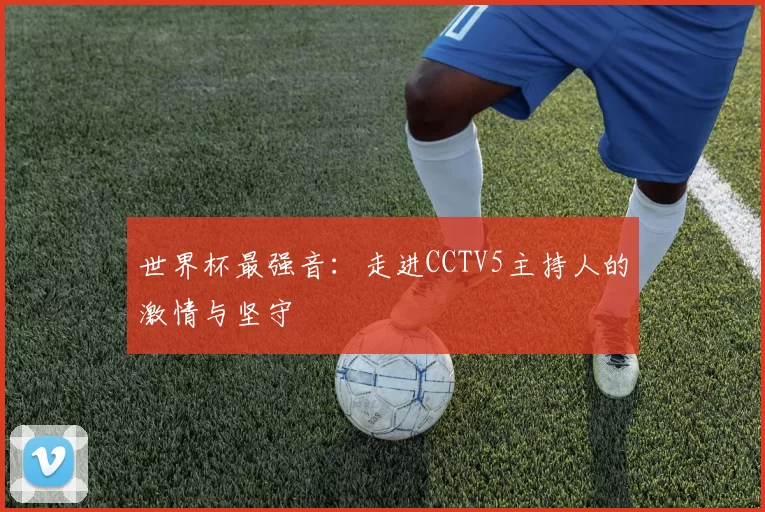 世界杯最强音：走进CCTV5主持人的激情与坚守
