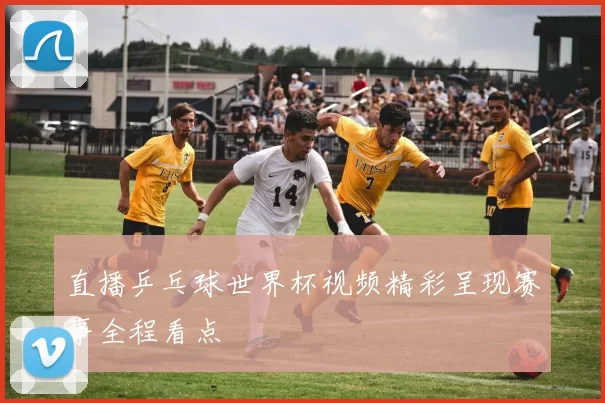 直播乒乓球世界杯视频精彩呈现赛事全程看点